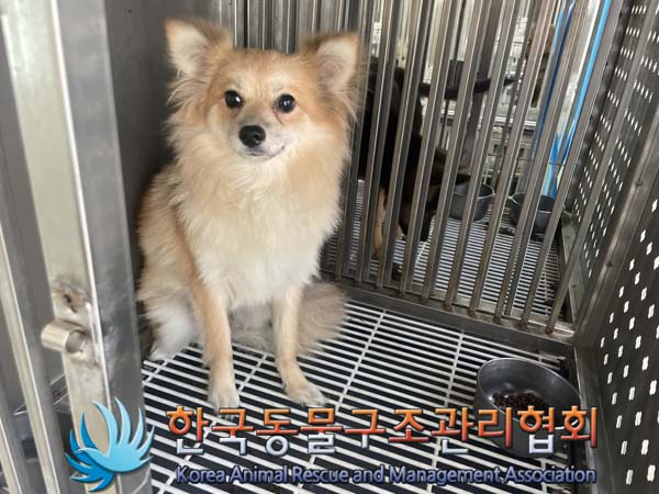 한국동물구조관리협회_441409202401314
